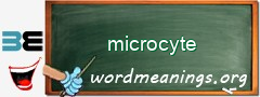 WordMeaning blackboard for microcyte